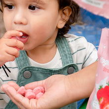 Load image into Gallery viewer, NaturKidz Yoghurt Meltz Strawberry 15g